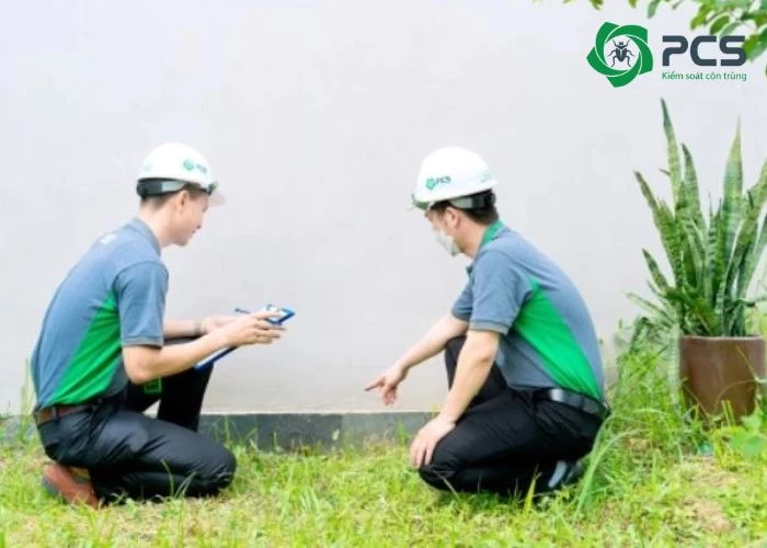 Đôi nét về dịch vụ diệt côn trùng tại Đồng Nai của PCS